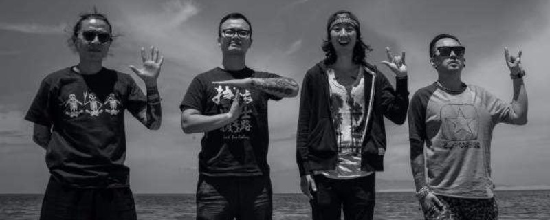 网络图片(侵删)