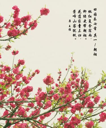 水果的寓意和祝福