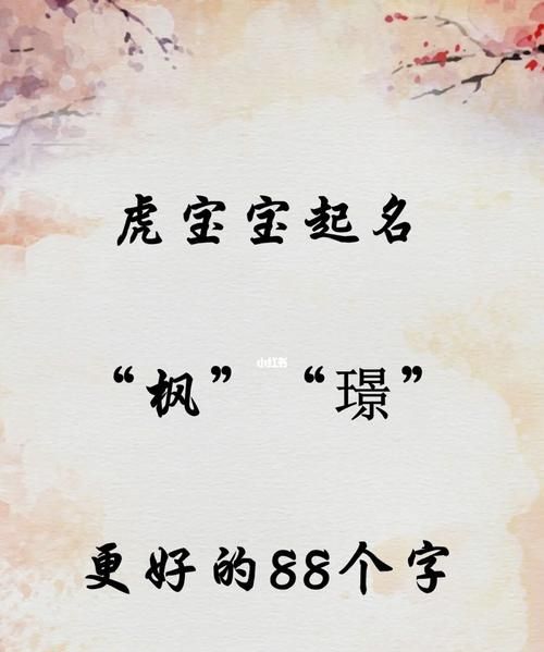 黄梓枫名字打分