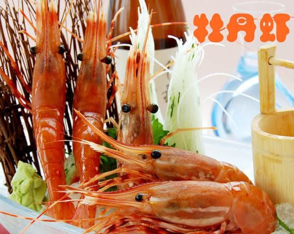 海虾的种类及图片,毒害种类和名称是什么?图18