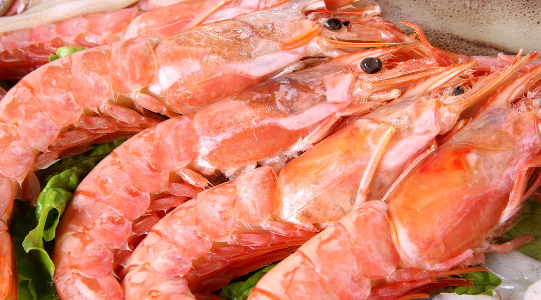 海虾的种类及图片,毒害种类和名称是什么?图27