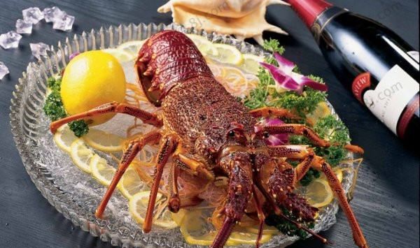 海虾的种类及图片,毒害种类和名称是什么?图15