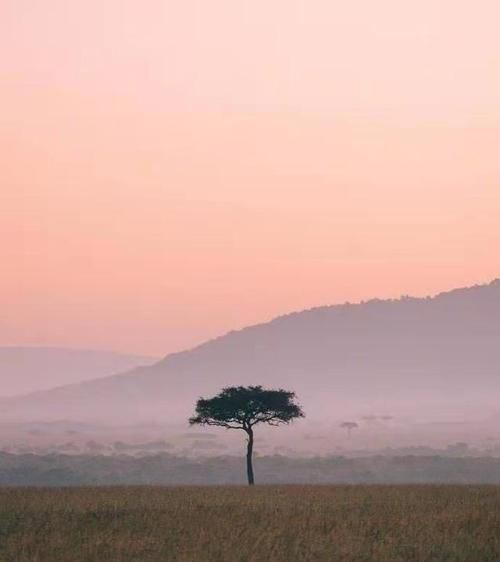 与心有关的字和词