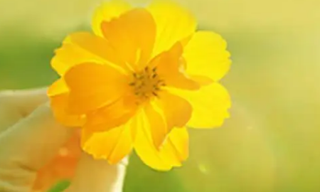 朋友圈简短好句子,发朋友圈的句子 心情短句图7