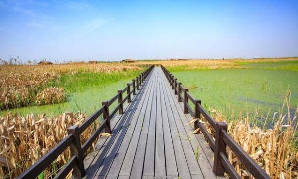 朋友圈简短好句子,发朋友圈的句子 心情短句图3