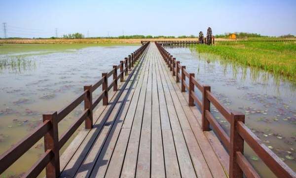 朋友圈简短好句子,发朋友圈的句子 心情短句图5