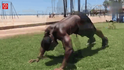 不同俯卧撑锻炼胸肌的部位(一个黄金健身动作)(12)