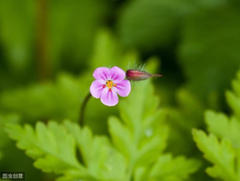 社会交往理论(你了解这3种心理学理论流派吗)(4)