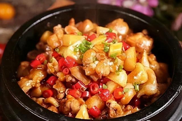 九龙坡有什么小学好(九龙坡区超人气小学大盘点)(19)