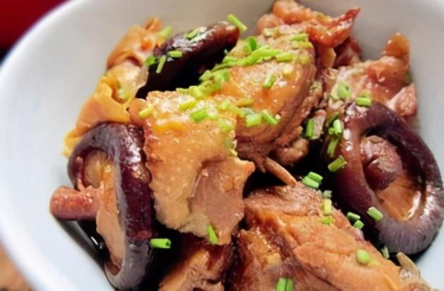 九龙坡有什么小学好(九龙坡区超人气小学大盘点)(13)