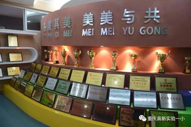 九龙坡有什么小学好(九龙坡区超人气小学大盘点)(22)