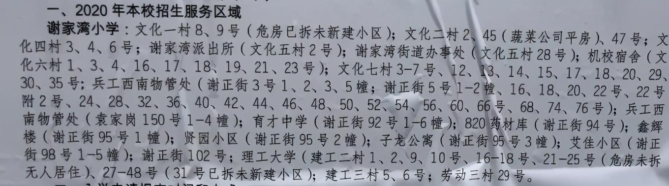九龙坡有什么小学好(九龙坡区超人气小学大盘点)(5)