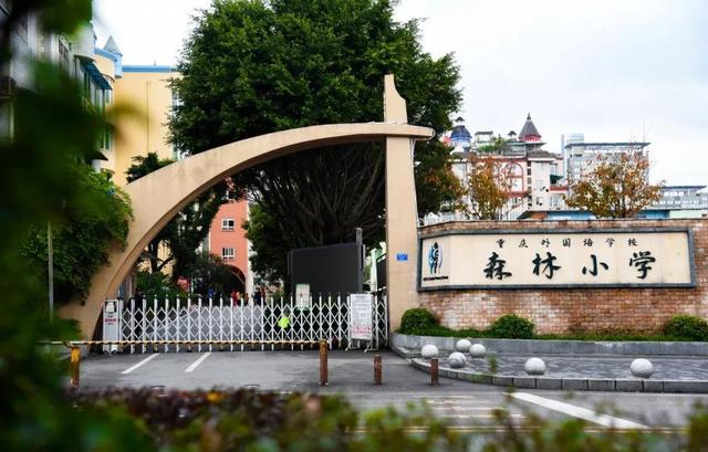 九龙坡有什么小学好(九龙坡区超人气小学大盘点)(25)