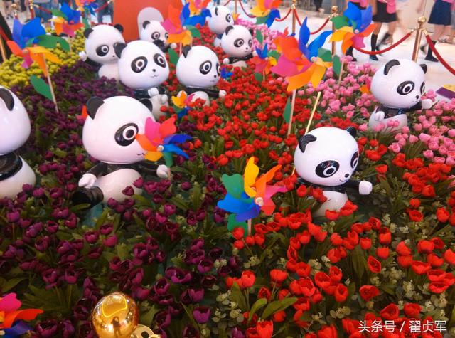 避免家用电器辐射的好方法（小心这些电器的辐射）(2)