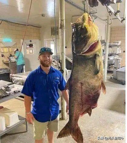 长江10年禁渔从哪年开始（长江十年禁渔）(8)