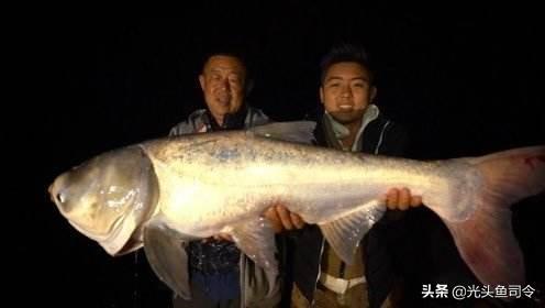 长江10年禁渔从哪年开始（长江十年禁渔）(6)