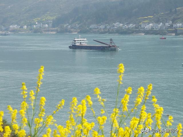 长江10年禁渔从哪年开始（长江十年禁渔）(1)