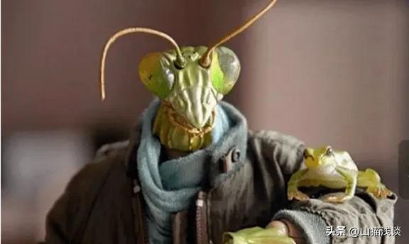 昆仑山螳螂人是怎么回事（昆仑山螳螂人事件是真实存在的吗）(9)