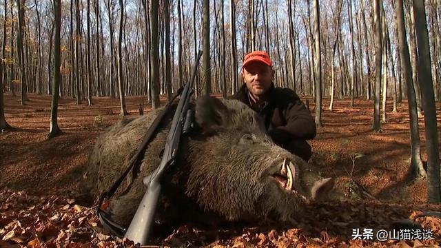 昆仑山螳螂人是怎么回事（昆仑山螳螂人事件是真实存在的吗）(5)