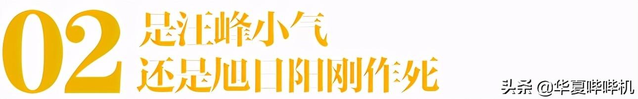 旭日阳刚现在现状(10年前爆火的旭日阳刚)(5)