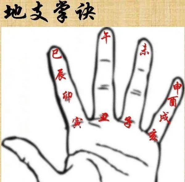 天干地支属性识人术,天干地支语文文学常识图9