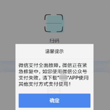 微信支付服务异常怎么解除(微信支付崩了1300万人中招)(7)