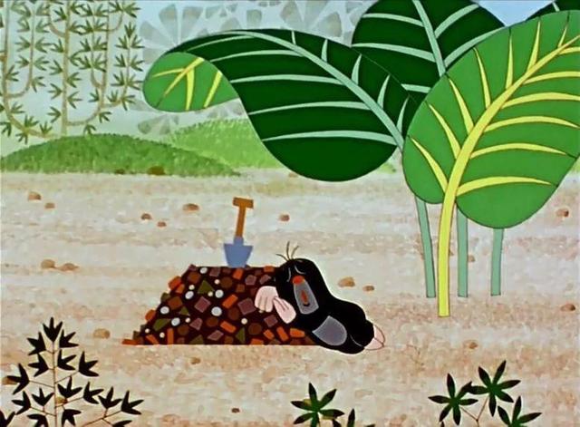 适合孩子看的少儿动画(25部学龄前儿童看的优质动画)(28)