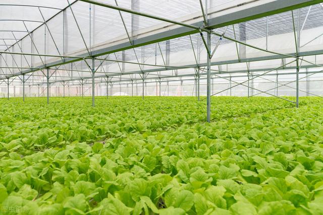 清明小长假适合游玩的地方（清明踏青最全攻略）(6)