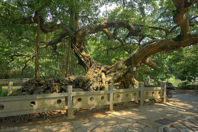 清明小长假适合游玩的地方（清明踏青最全攻略）(17)