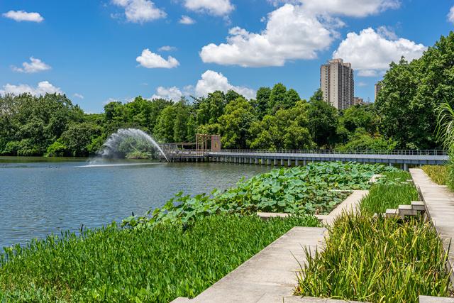 清明小长假适合游玩的地方（清明踏青最全攻略）(14)