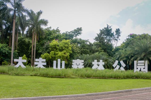 清明小长假适合游玩的地方（清明踏青最全攻略）(2)