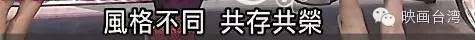 台胞与陆客(春节陆客赴台观影指北书)(4)