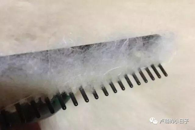 羊绒衫的款式推荐(冬日有质感的羊绒衫)(12)