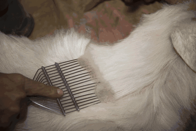 羊绒衫的款式推荐(冬日有质感的羊绒衫)(9)