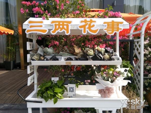 努比亚z17mini外观尺寸(双摄玩出了新高度)(46)