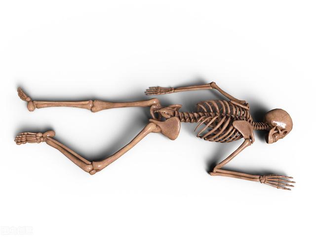 人死后会发生哪些事(人死后的几个月内)(3)