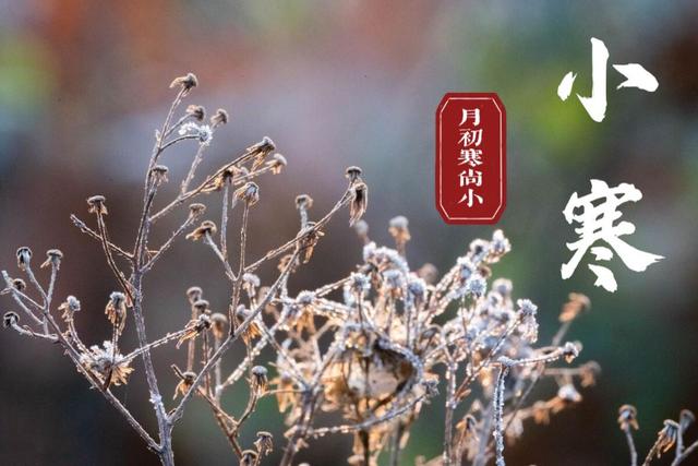 小寒节气应该吃啥食物(明日小寒九种抗寒)(1)