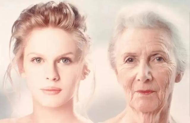 森林大部分消失会有什么坏处(森林真的越多越好吗)(11)