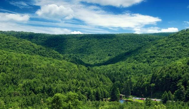 森林大部分消失会有什么坏处(森林真的越多越好吗)(12)