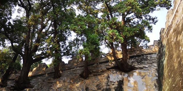 明十三陵景点介绍(5A景区皇家风范)(17)