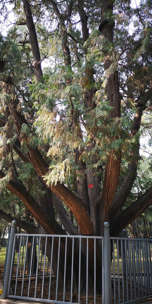 明十三陵景点介绍(5A景区皇家风范)(22)