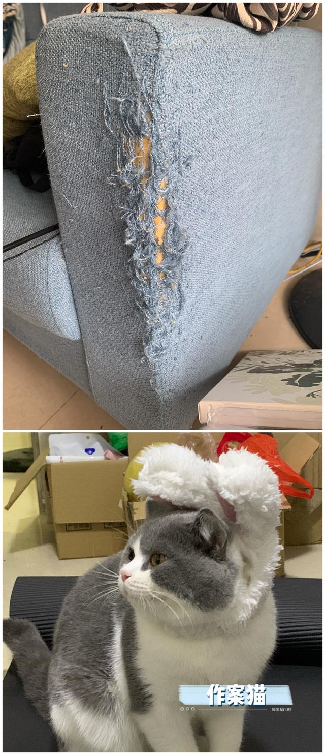 买沙发一定要买最好的（建议不要买这10种）(10)