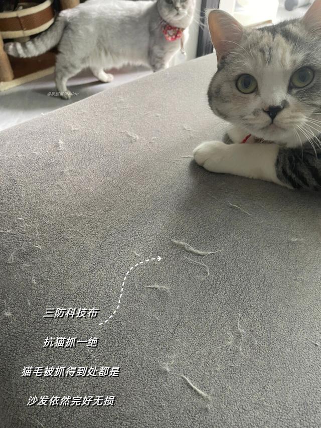 买沙发一定要买最好的（建议不要买这10种）(12)