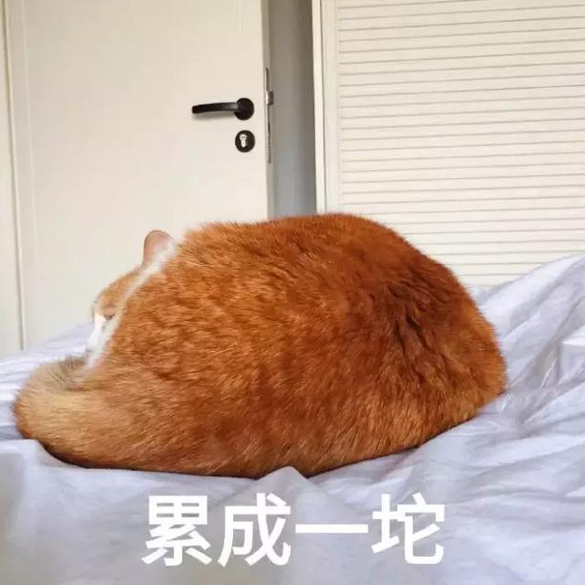 平价又补水的面膜 测评（说到平价又好用的面膜）(35)