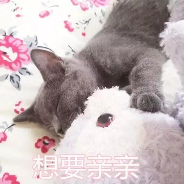 平价又补水的面膜 测评（说到平价又好用的面膜）(3)