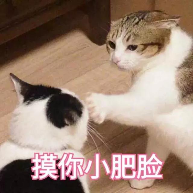 平价又补水的面膜 测评（说到平价又好用的面膜）(1)