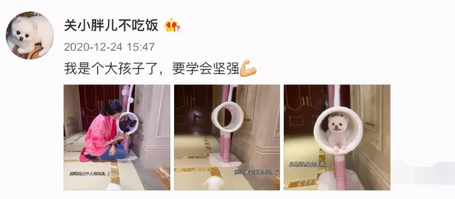 鹿晗和关晓彤在一起为啥粉丝脱粉（鹿晗粉丝和关晓彤的）(2)