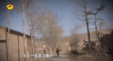 变形计王晨正的完整故事（变形计最苦爷爷去世）(13)