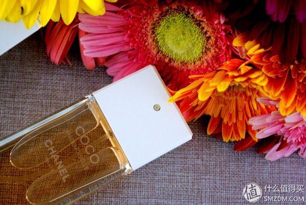 香水品牌平价前十名女士淡香（商业香中的经典香）(24)