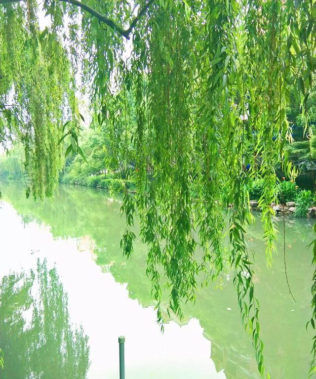 贵阳特产，贵州贵阳特产？图3